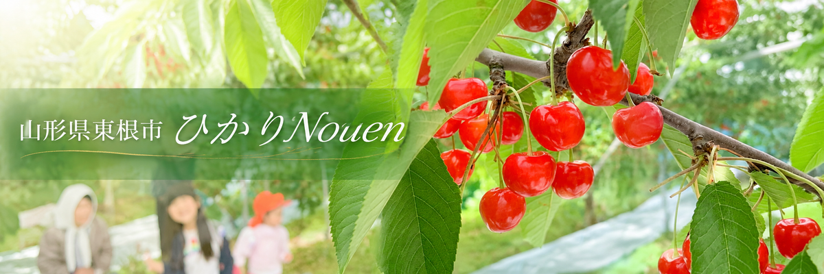 山形県東根市　ひかりNouen
